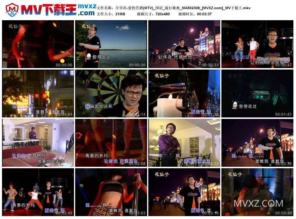 庄学忠-爱的苦酒(MTV)_国语_流行歌曲_MA502308
